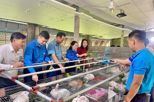 Lộc Hà ra mắt mô hình kinh tế thanh niên, hỗ trợ 500 triệu đồng vốn giải quyết việc làm 